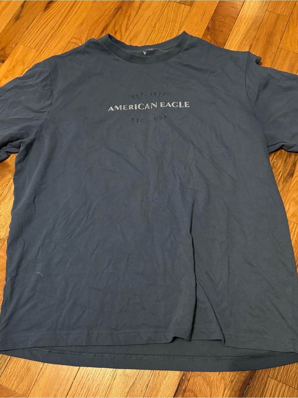 American Eagle Outfitters Men's Slate Blue Logo Crew Neck Tee